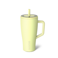 Era 30oz | Prickly Pear
