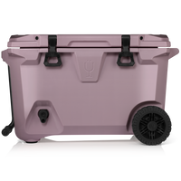 Shop Purple Coolers: NEW Lilac Dusk BrüTank | BrüMate