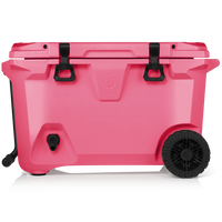 Shop Pink Coolers: NEW Neon Pink BrüTank | BrüMate